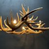 Round antler chandelier of red deer antlers