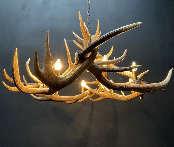 Round antler chandelier of red deer antlers