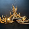 Round antler chandelier of red deer antlers