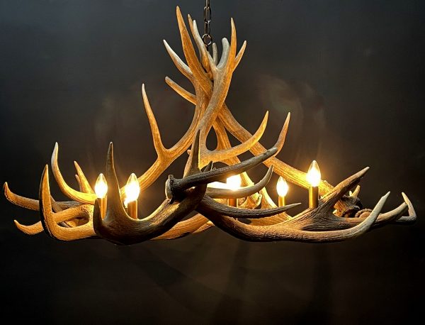 Round antler chandelier of red deer antlers