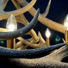 Round antler chandelier of red deer antlers