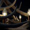 Round antler chandelier of red deer antlers