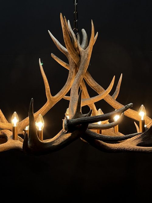 Round antler chandelier of red deer antlers