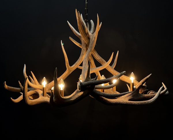 Round antler chandelier of red deer antlers