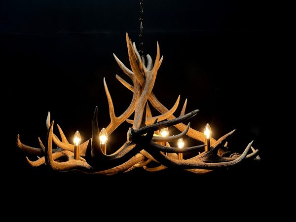 Round antler chandelier of red deer antlers