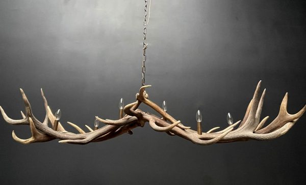 Antler pendant chandelier XL with 6 lights