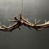 Antler pendant chandelier XL with 6 lights