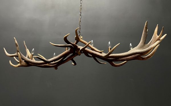 Antler pendant chandelier XL with 6 lights