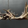 Antler pendant chandelier XL with 6 lights