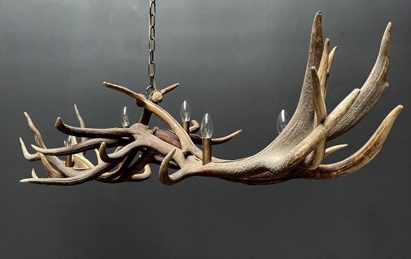 Antler pendant chandelier XL with 6 lights