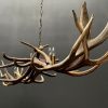 Antler pendant chandelier XL with 6 lights