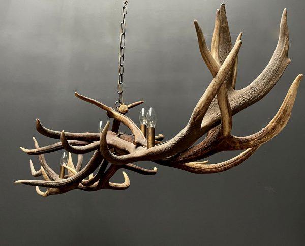 Antler pendant chandelier XL with 6 lights