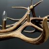 Antler pendant chandelier XL with 6 lights