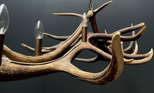 Antler pendant chandelier XL with 6 lights