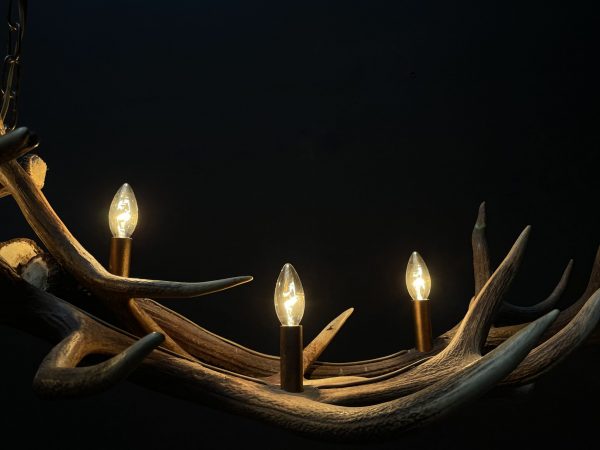 Antler pendant chandelier XL with 6 lights