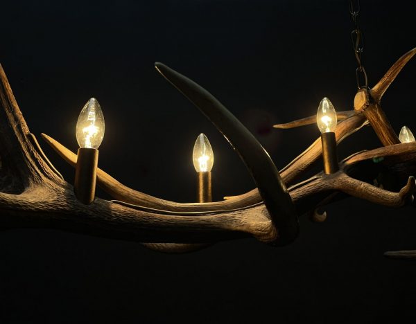 Antler pendant chandelier XL with 6 lights