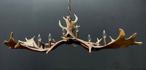 Antler lamp fallow deer