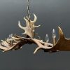 Antler lamp fallow deer