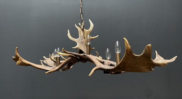 Antler lamp fallow deer
