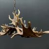 Antler lamp fallow deer