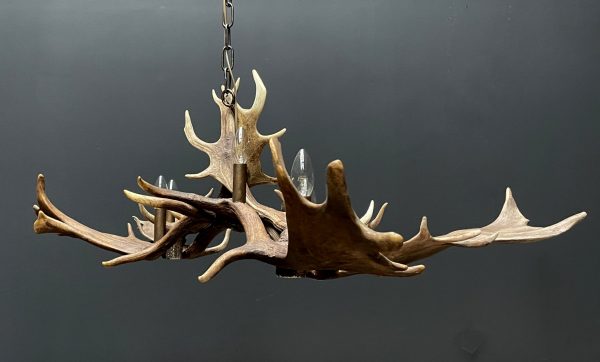 Antler lamp fallow deer XL