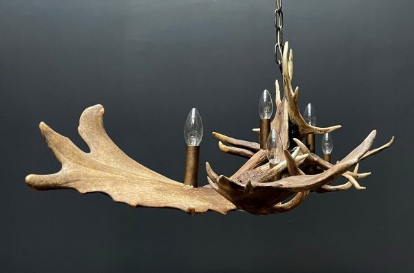 Antler lamp fallow deer