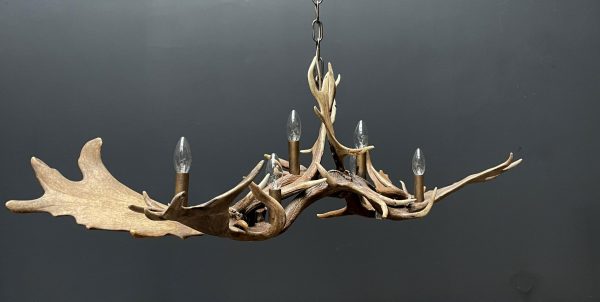 Antler lamp fallow deer