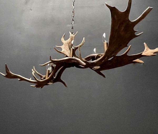 Antler lamp fallow deer