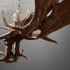 Antler lamp fallow deer