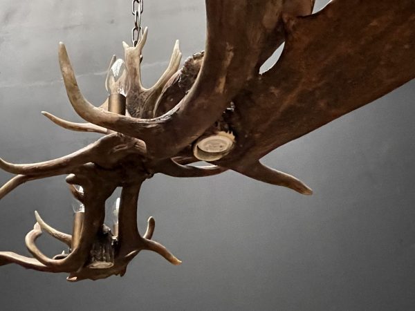 Antler lamp fallow deer XL