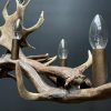 Antler lamp fallow deer