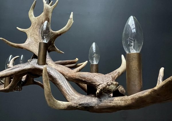 Antler lamp fallow deer XL