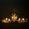 Antler lamp fallow deer