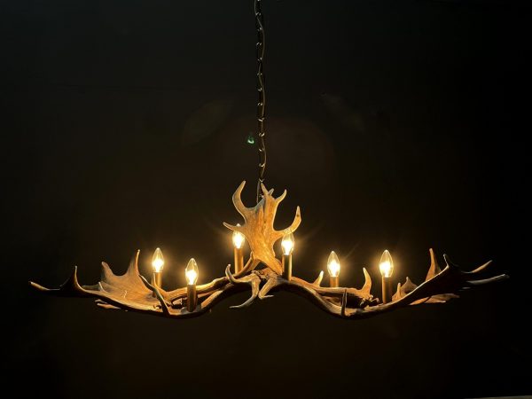 Antler lamp fallow deer