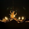 Antler lamp fallow deer XL