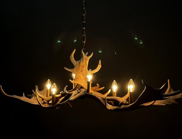 Antler lamp fallow deer