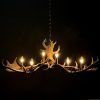 Antler lamp fallow deer XL