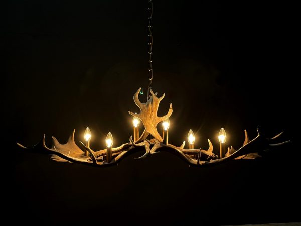 Antler lamp fallow deer