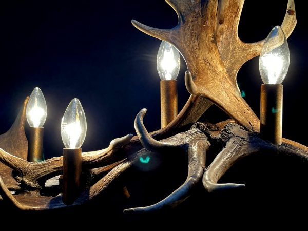 Antler lamp fallow deer XL