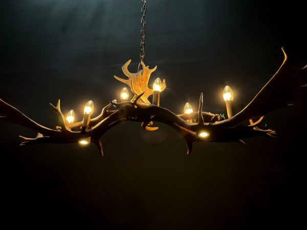 Antler lamp fallow deer XL