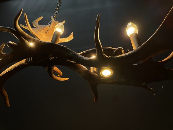 Antler lamp fallow deer