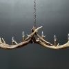 Round antler chandelier of red deer antlers