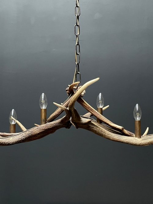 Design antler lamp