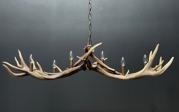 Design antler lamp