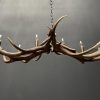 Design antler lamp