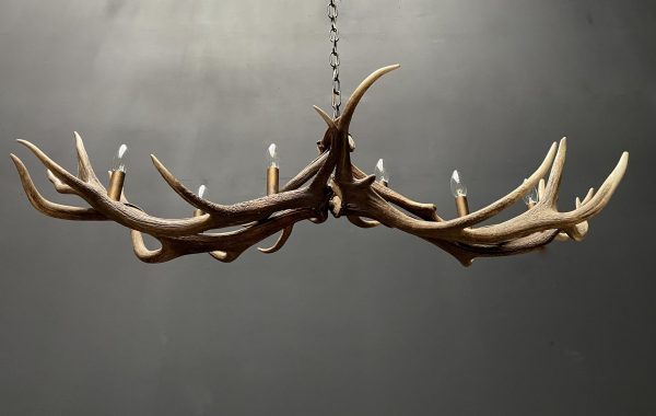 Design antler lamp