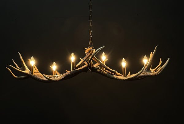 Design antler lamp