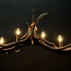 Design antler lamp