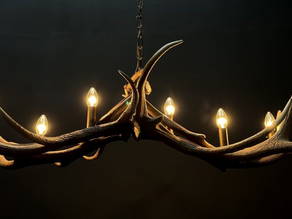 Design antler lamp