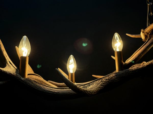 Design antler lamp